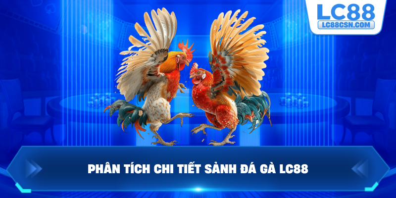 Phân tích chi tiết sảnh đá gà LC88