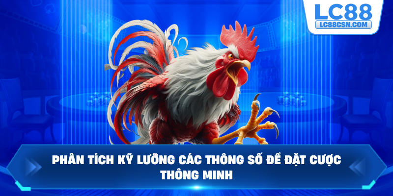 Phân tích kỹ lưỡng các thông số để đặt cược thông minh